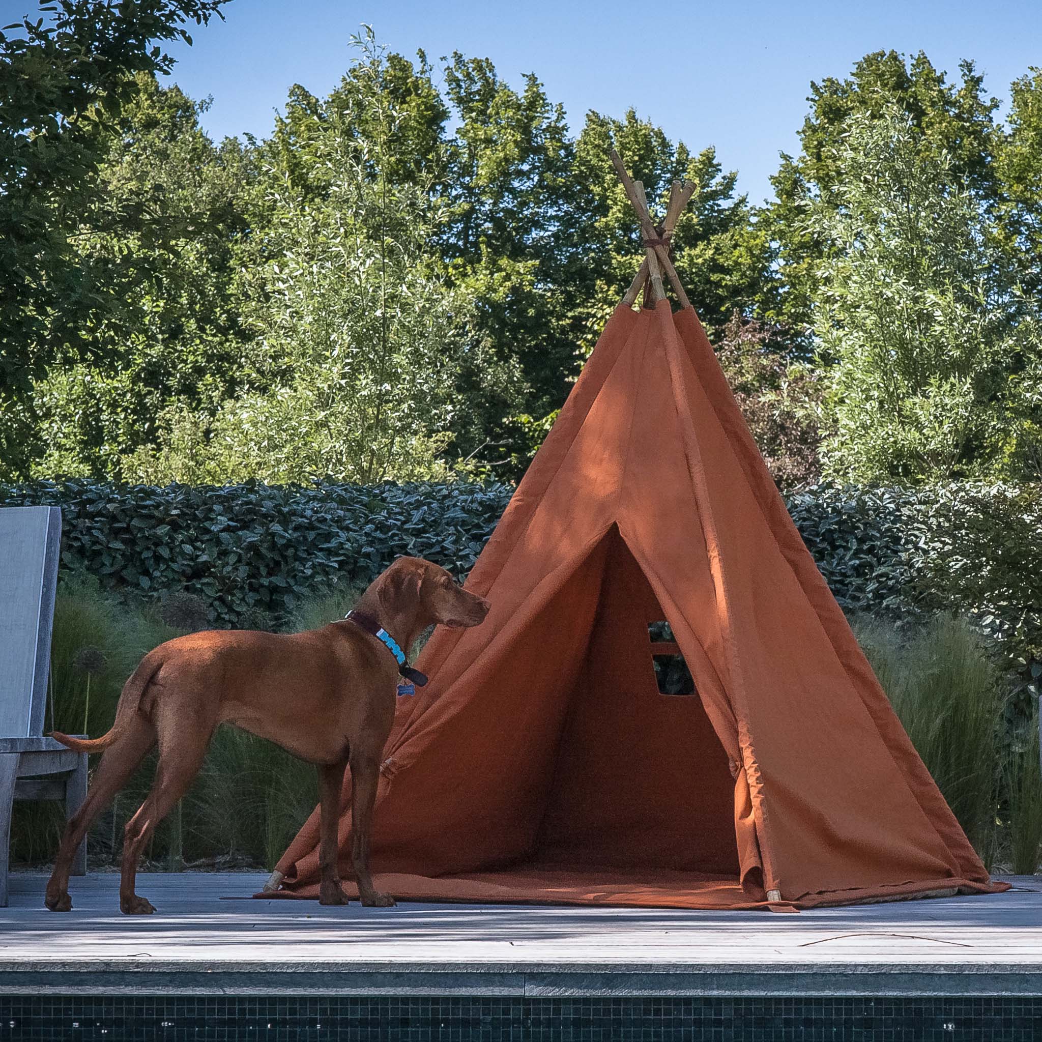 Beyond tents glamping tipi kids