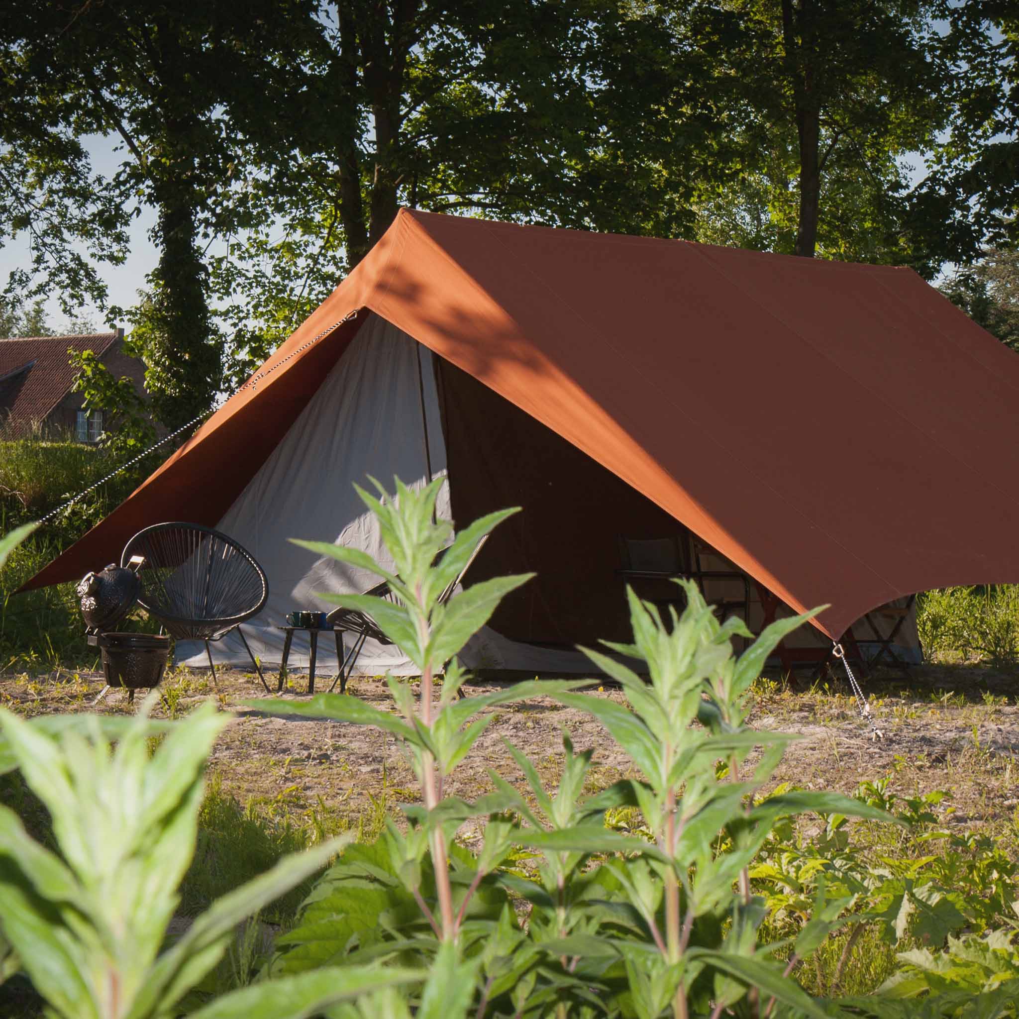 12x piquets de Tente en Acier - piquets Longs et Robustes pour Le Camping  et l'extérieur 