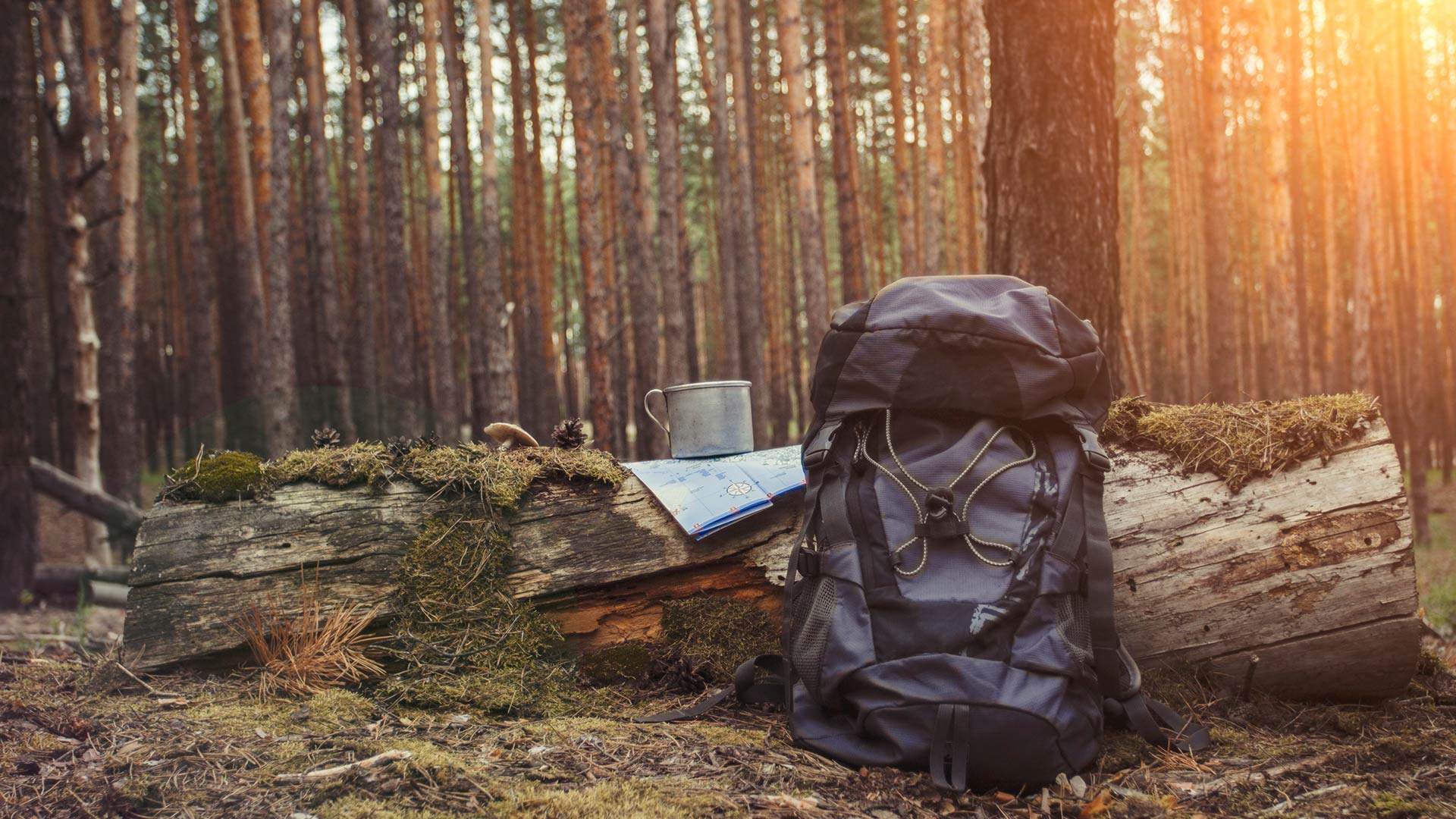 Camping 101: Do’s and don’ts during your first time venturing outdoors